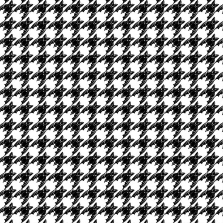 Scaredy Cat White Bats Tooth Fabric - Show Special
